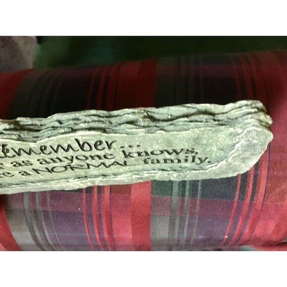 Remember ...As Far as Anyone Knows, We are a NORMAL family. Carson's Light-Heart - Picture 8 of 11